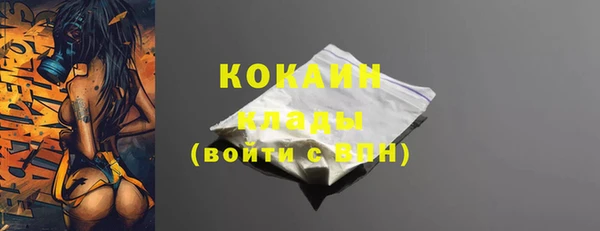 spice Володарск