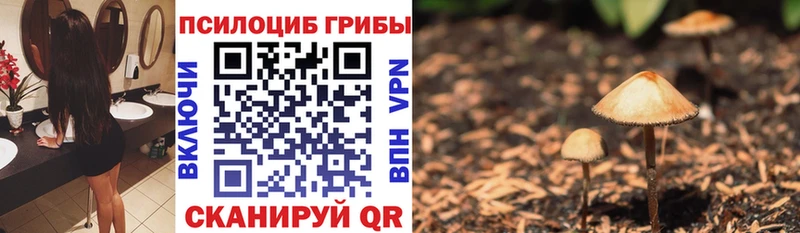 darknet какой сайт  Верхняя Салда  Галлюциногенные грибы прущие грибы 